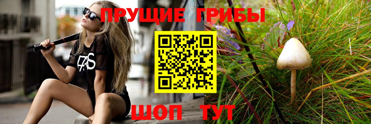 Галлюциногенные грибы мухоморы Ангарск