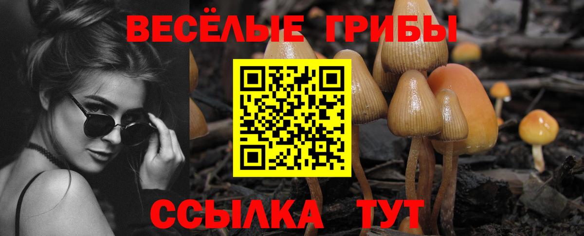 Ангарск  Галлюциногенные грибы GOLDEN TEACHER  Вход с VPN 